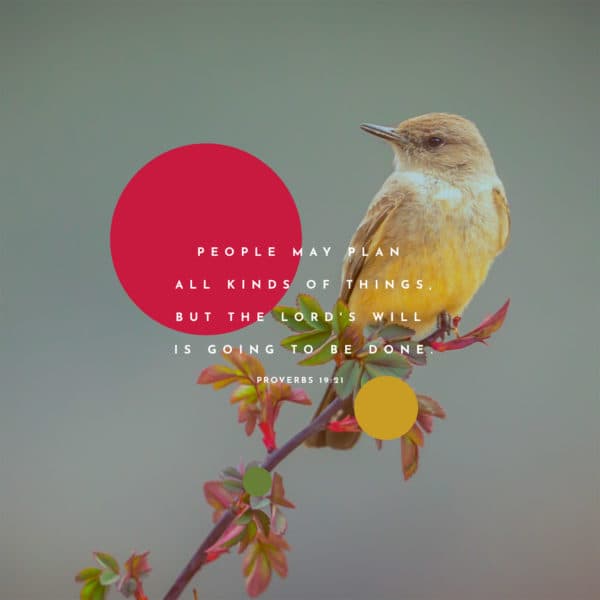 People may plan all kinds of things, but the LORD's will is going to be done. - Proverbs 19:21