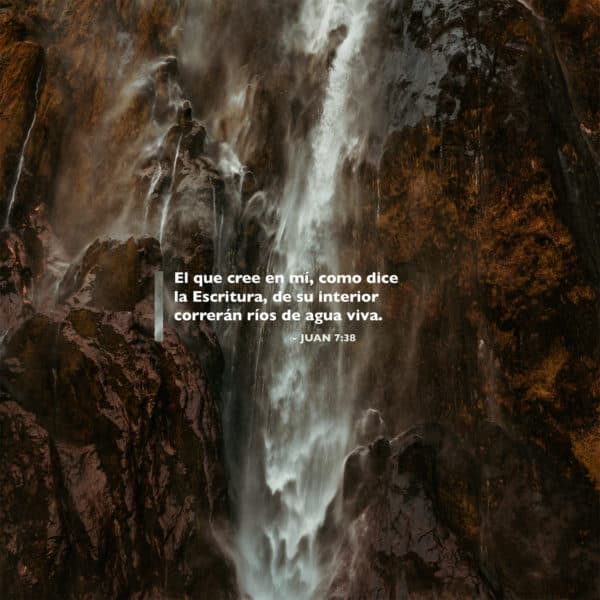 El que cree en mí, como dice la Escritura, de su interior correrán ríos de agua viva. - Juan 7:38
