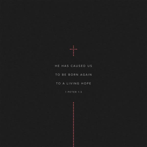 He has caused us to be born again to a living hope - 1 Peter 1:3