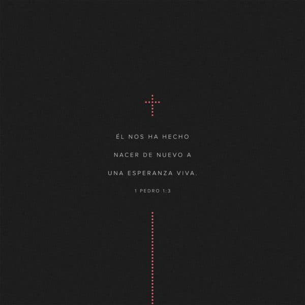 Él nos ha hecho nacer de nuevo a una esperanza viva. - 1 Pedro 1:3