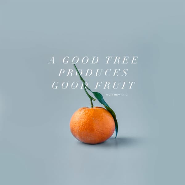 A good tree produces good fruit. - Matthew 7:17