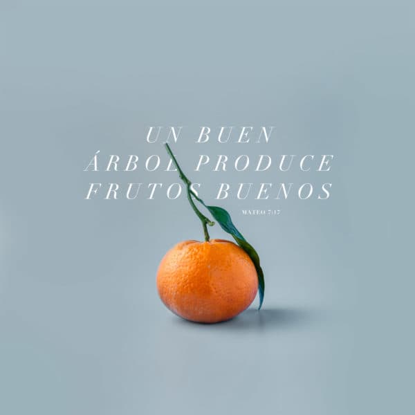 Un buen árbol produce frutos buenos - Mateo 7:17