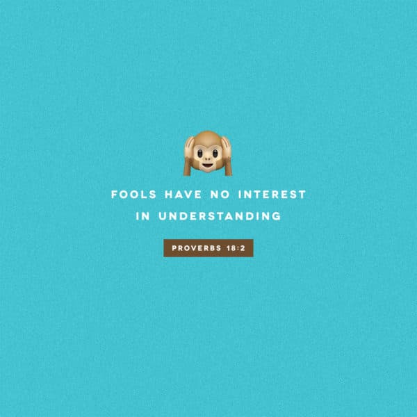 Fools have no interest in understanding - Proverbs 18:2