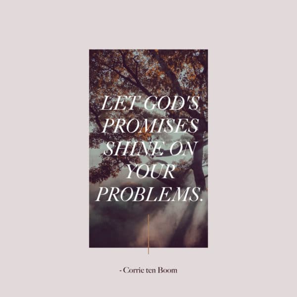 Let God's promises shine on your problems. - Corrie ten Boom