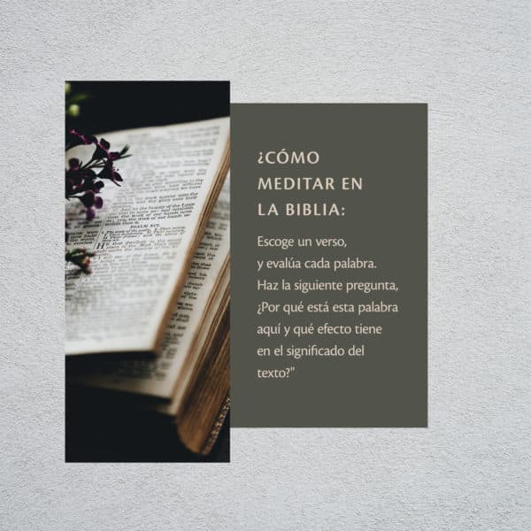 ¿Cómo meditar en la Biblia: Escoge un verso, y evalúa cada palabra. Haz la siguiente pregunta, ¿Por qué está esta palabra aquí y qué efecto tiene en el significado del texto?"