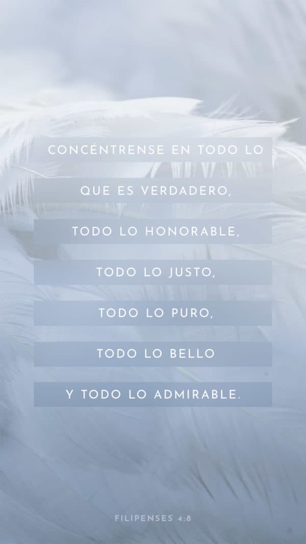 Concéntrense en todo lo que es verdadero, todo lo honorable, todo lo justo, todo lo puro, todo lo bello y todo lo admirable. - Filipenses 4:8