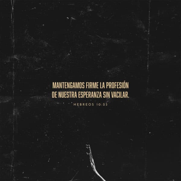 Mantengamos firme la profesión de nuestra esperanza sin vacilar. - Hebreos 10:23