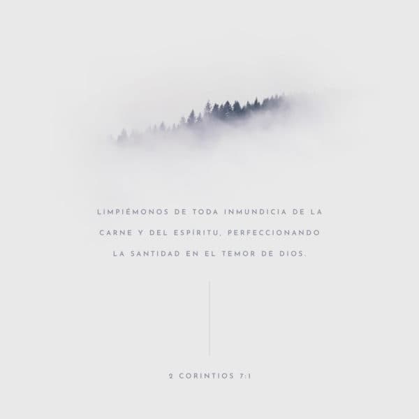 Limpiémonos de toda inmundicia de la carne y del espíritu, perfeccionando la santidad en el temor de Dios. - 2 Corintios 7:1