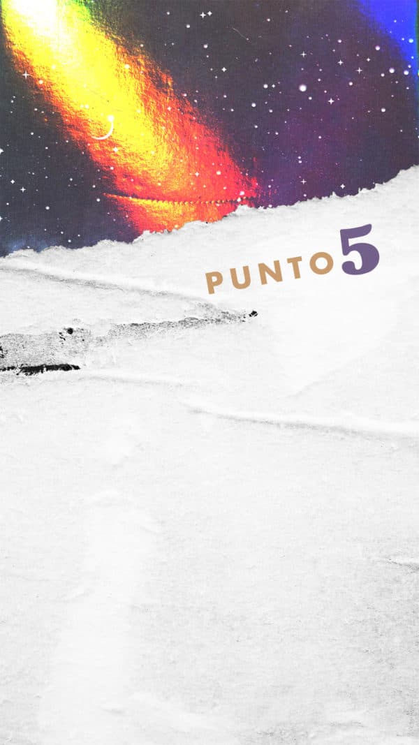 Punto 5