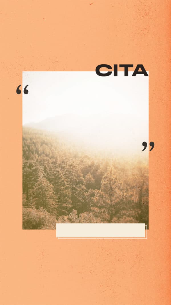 Cita
