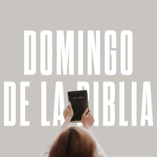 Domingo de la biblia