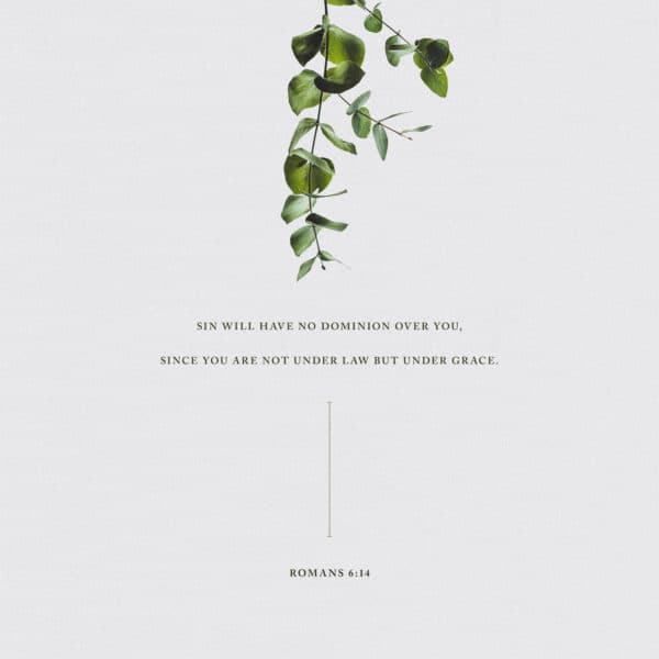 Sin will have no dominion over you, since you are not under law but under grace. - Romans 6:14