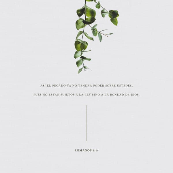 Así el pecado ya no tendrá poder sobre ustedes, pues no están sujetos a la ley sino a la bondad de Dios. - Romanos 6:14