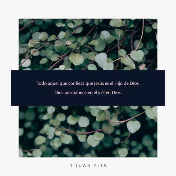 Todo aquel que confiesa que Jesús es el Hijo de Dios, Dios permanece en él y él en Dios. - 1 Juan 4:15