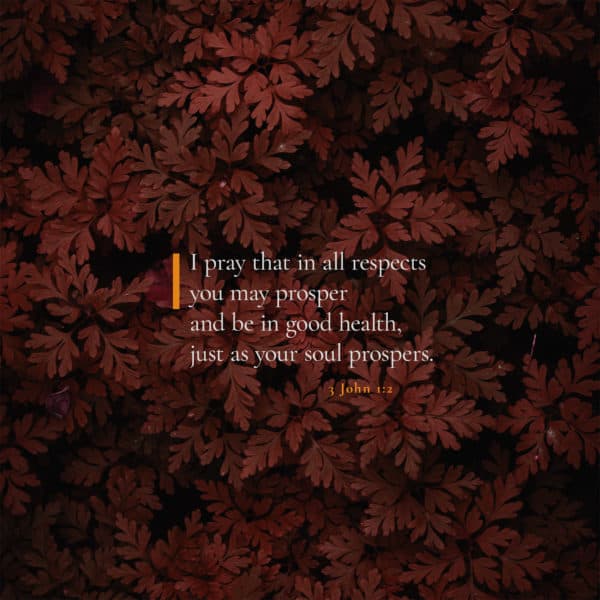 I pray that in all respects you may prosper and be in good health, just as your soul prospers. - 3 John 1:2