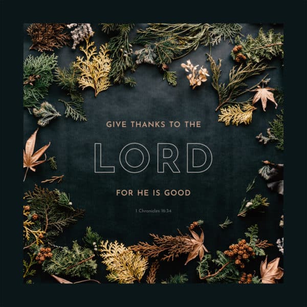 Give thanks to the LORD, for he is good. - 1 Chronicles 16:34