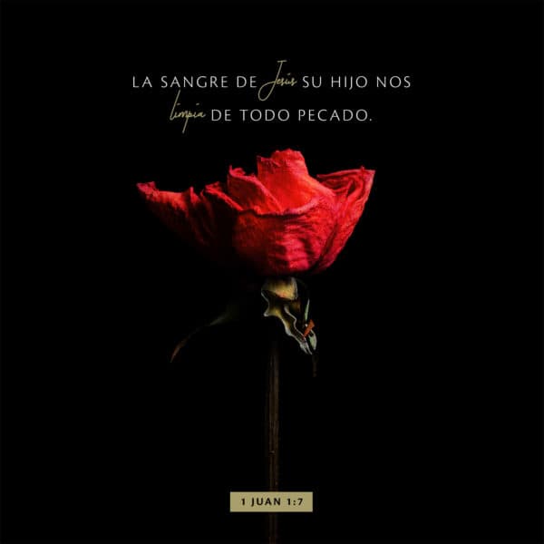La sangre de Jesús Su Hijo nos limpia de todo pecado. - 1 Juan 1:7