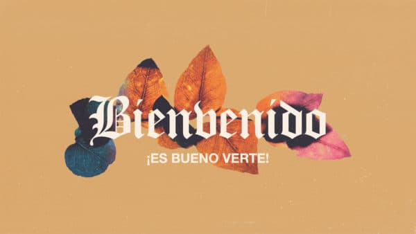 Bienvenido. ¡Es bueno verte!
