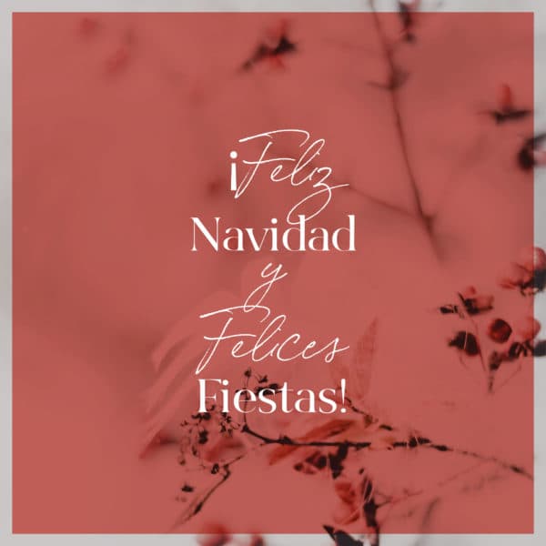 ¡Feliz Navidad y Felices Fiestas!