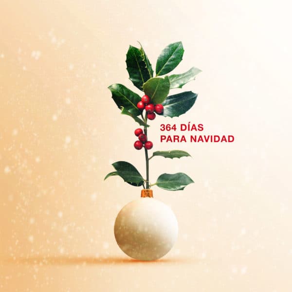 364 Días para Navidad