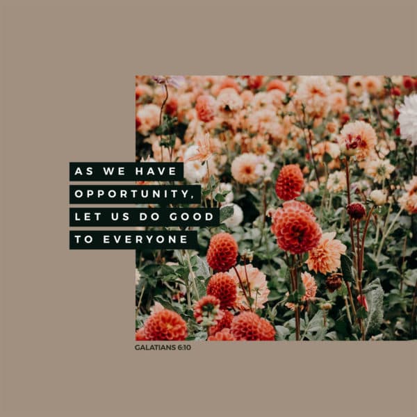 As we have opportunity, let us do good to everyone. - Galatians 6:10