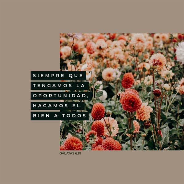Siempre que tengamos la oportunidad, hagamos el bien a todos. - Gálatas 6:10