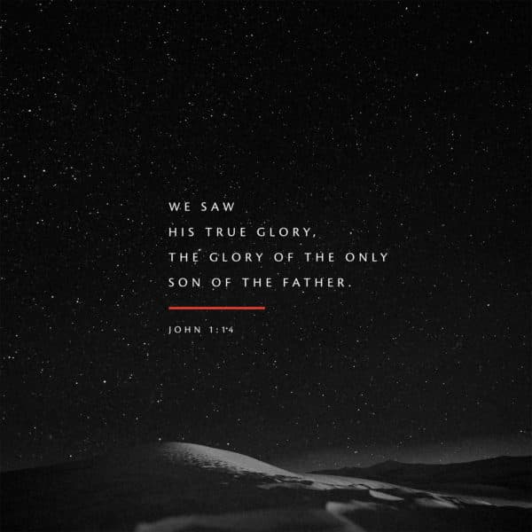 We saw his true glory, the glory of the only Son of the Father. - John 1:14