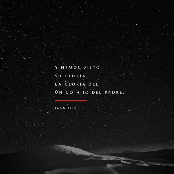 Y hemos visto su gloria, la gloria del único Hijo del Padre. - Juan 1:14