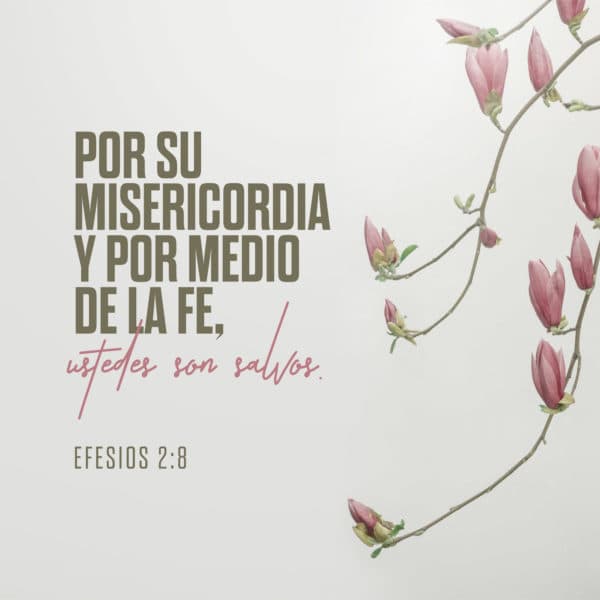 Por su misericordia y por medio de la fe, ustedes son salvos. - Efesios 2:8