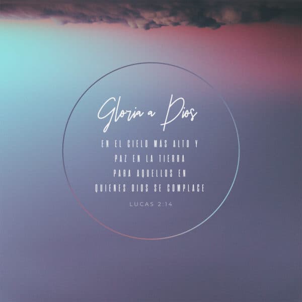 Gloria a Dios en el cielo más alto y paz en la tierra para aquellos en quienes Dios se complace. - Lucas 2:14