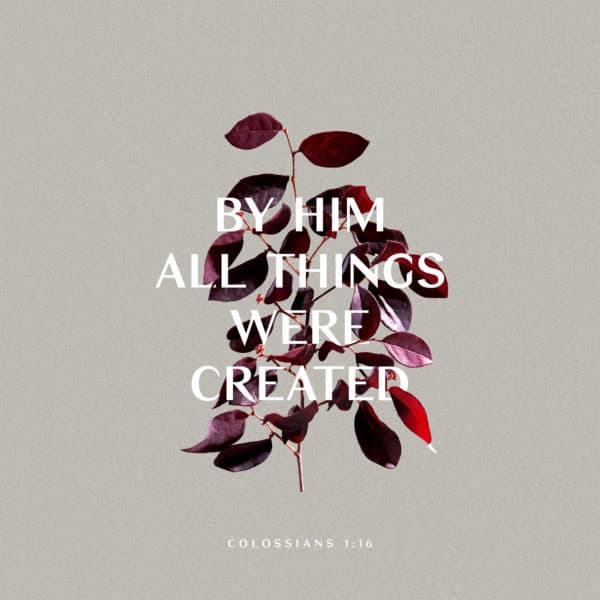 By Him all things were created. - Colossians 1:16
