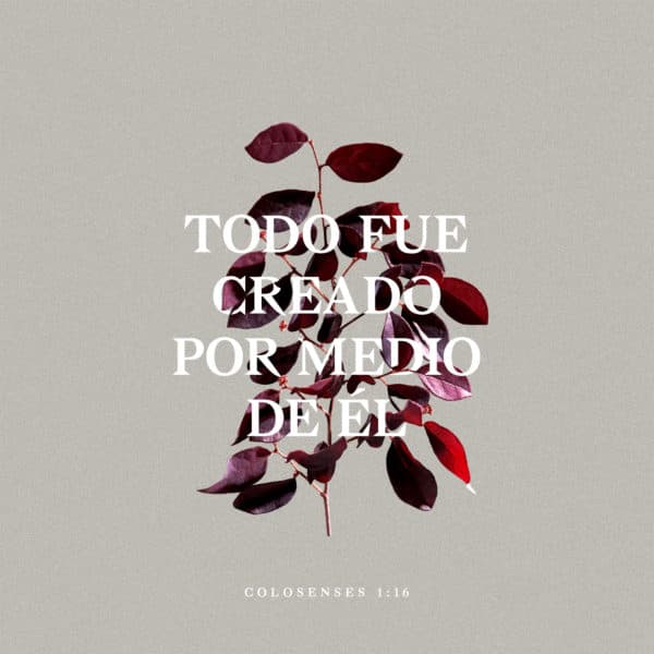 Todo fue creado por medio de Él. - Colosenses 1:16