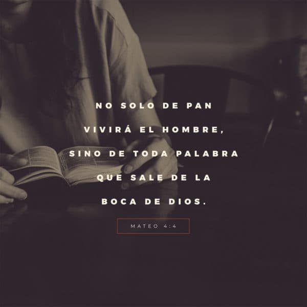 No solo de pan vivirá el hombre, sino de toda palabra que sale de la boca de Dios. - Mateo 4:4