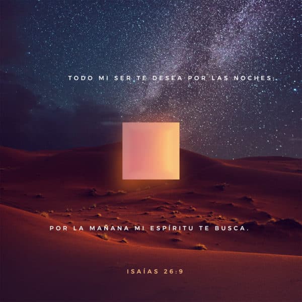 Todo mi ser te desea por las noches; por la mañana mi espíritu te busca. - Isaías 26:9