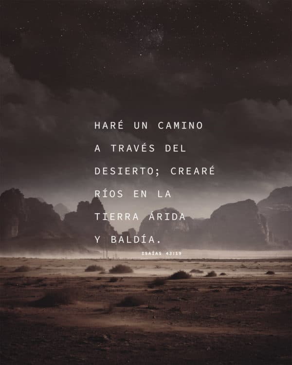 Haré un camino a través del desierto; crearé ríos en la tierra árida y baldía. - Isaías 43:19
