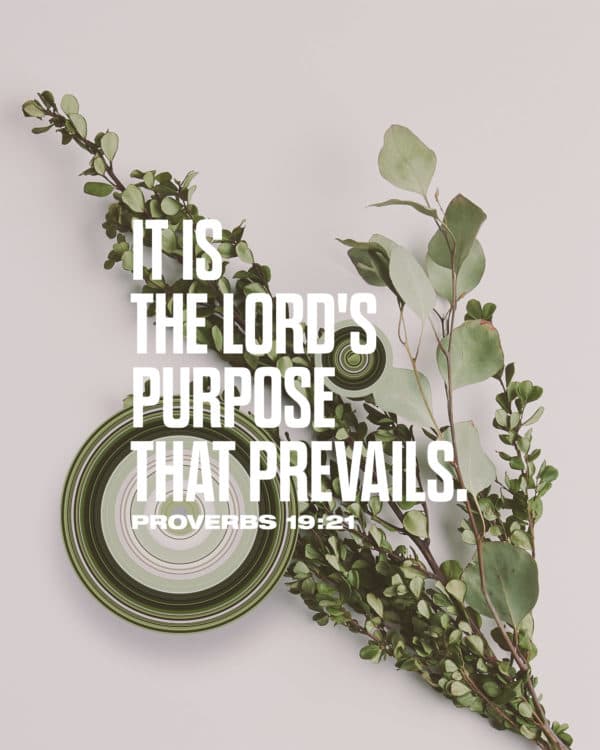 It is the LORD's purpose that prevails. - Proverbs 19:21