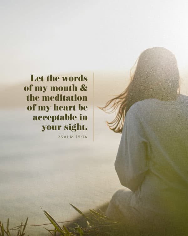 Let the words of my mouth and the meditation of my heart be acceptable in your sight. - Psalm 19:14