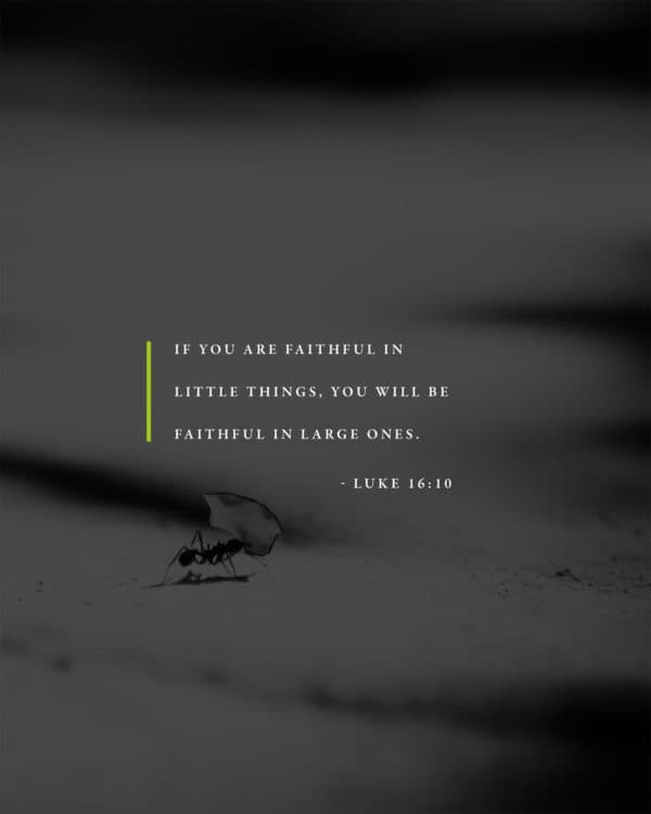 If you are faithful in little things, you will be faithful in large ones. - Luke 16:10