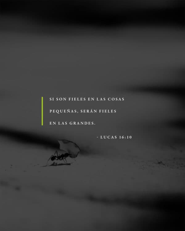 Si son fieles en las cosas pequeñas, serán fieles en las grandes. - Lucas 16:10