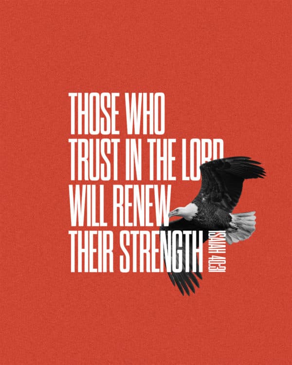 Those who trust in the LORD will renew their strength. - Isaiah 40:31