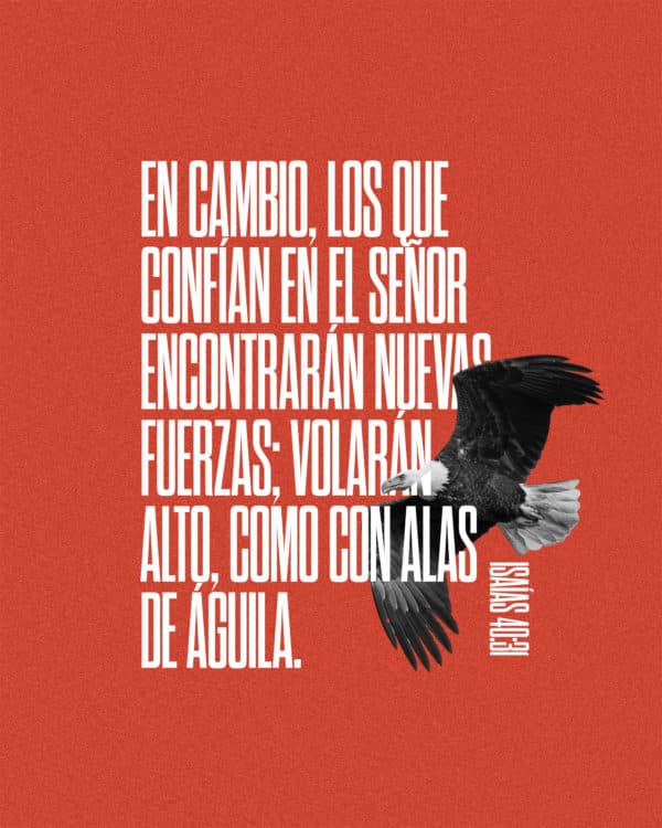 En cambio, los que confían en el Señor encontrarán nuevas fuerzas; volarán alto, como con alas de águila. - Isaías 40:31