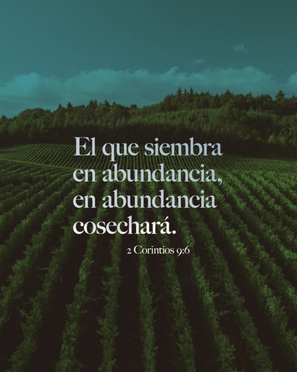 El que siembra en abundancia, en abundancia cosechará. - 2 Corintios 9:6