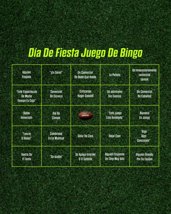 Día de fiesta juego de Bingo.