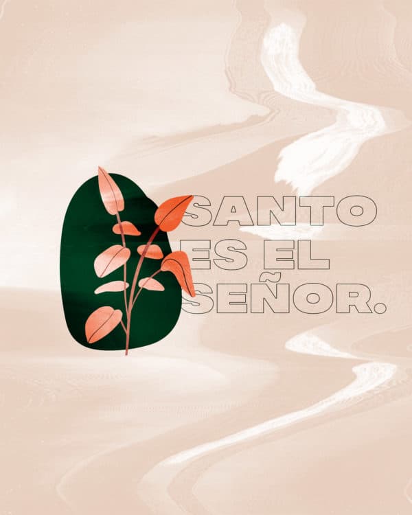 Santo es el Señor