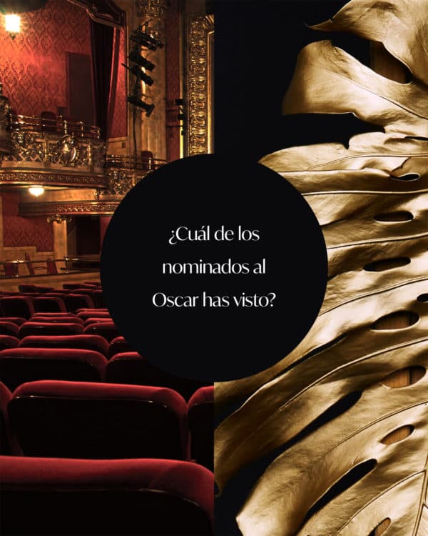 ¿Cuál de los nominados al Oscar has visto?