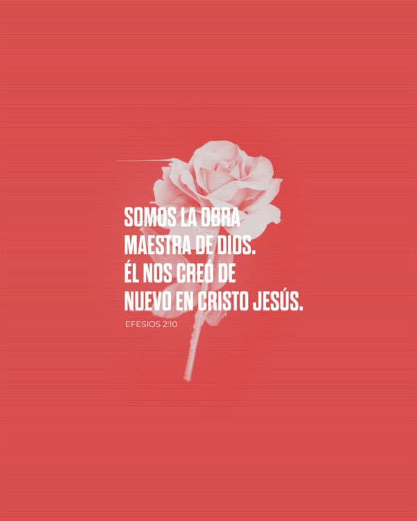 Somos la obra maestra de Dios. Él nos creó de nuevo en Cristo Jesús. - Efesios 2:10