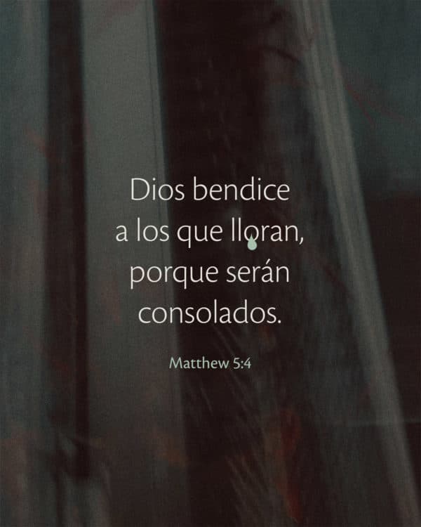 Dios bendice a los que lloran, porque serán consolados. - Mateo 5:4