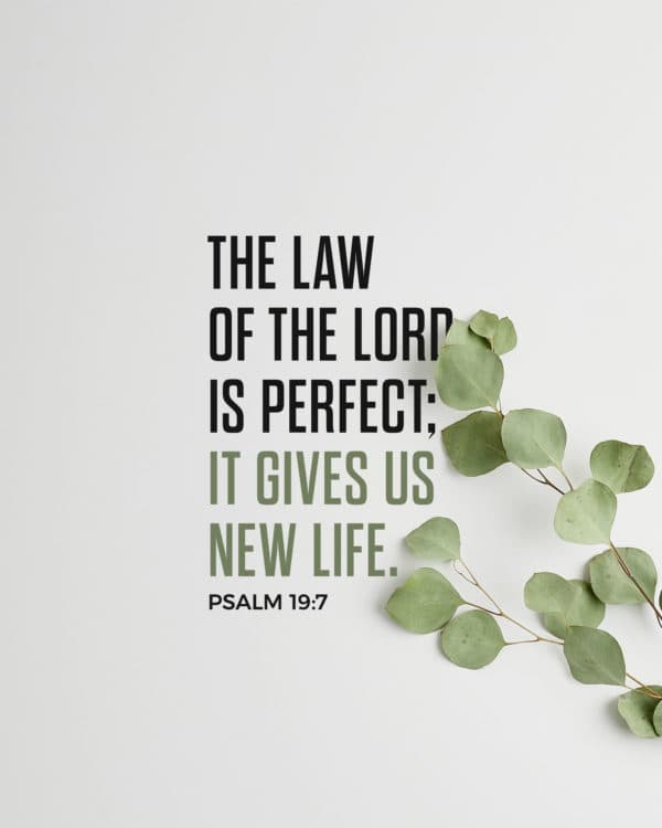 The Law of the LORD is perfect; it gives us new life. - Psalm 19:7