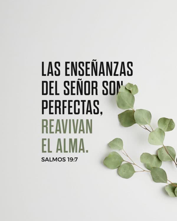 Las enseñanzas del Señor son perfectas, reavivan el alma. - Salmos 19:7