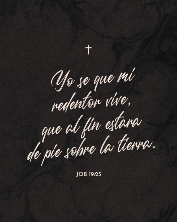 Yo sé que mi redentor vive, que al fin estará de pie sobre la tierra. - Job 19:25